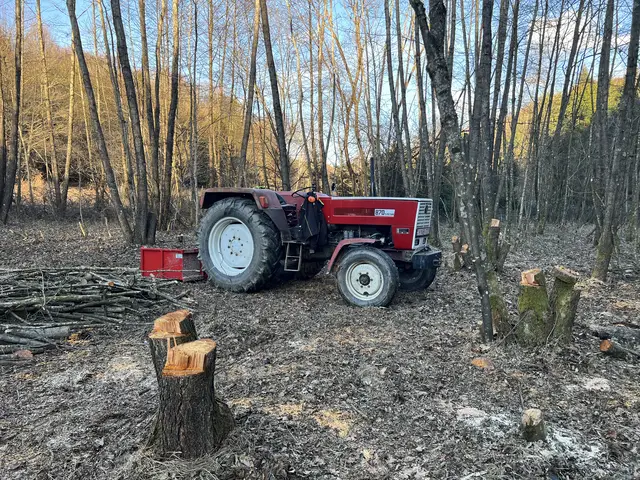 Traktor erdei tisztáson, rönkök között