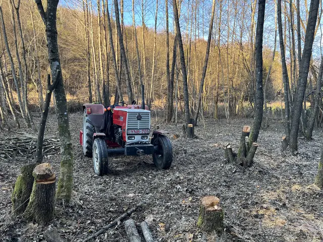 Traktor szemből az erdei tisztáson