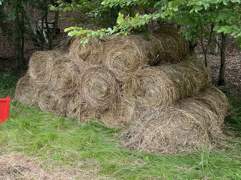 Mini körbálák egymásra rakva az erdő szélén