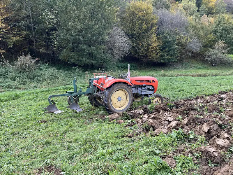 Traktor ekével szánt a réten